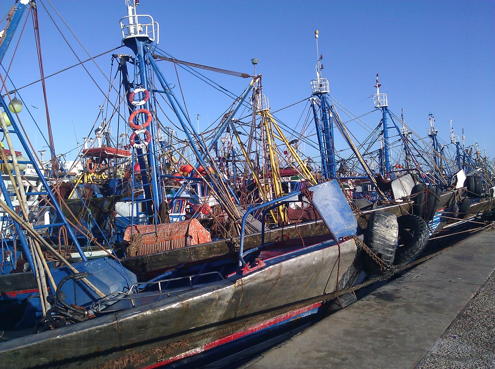 Fishing boats and seafood background